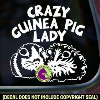 Crazy Guinea Pig Lady Vinyl Decal Sticker Pigs Love Car Window Wall Bumper Sign