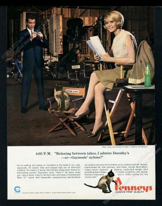 1965 Siamese Cat That Darn Cat Photo Jp Penney Penneys Vintage Print Ad 2