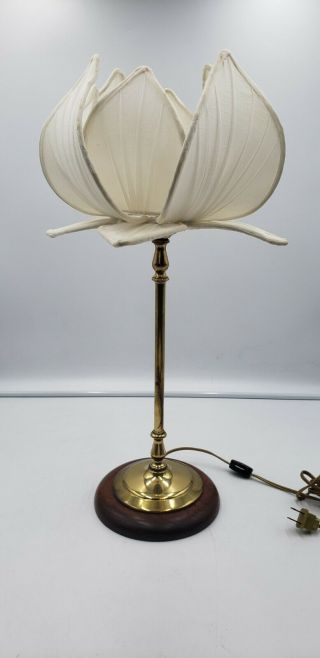 Mid Century Danish Teak And Brass Lamp