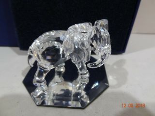 Vintage Swarovski Crystal Little Elephant 7610 000 009 / 674587 W/ Box