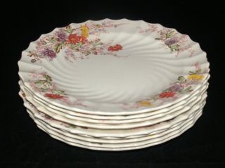 Vintage Copeland Spode Fairy Dell Pattern China Set Of 9 Dinner Plates