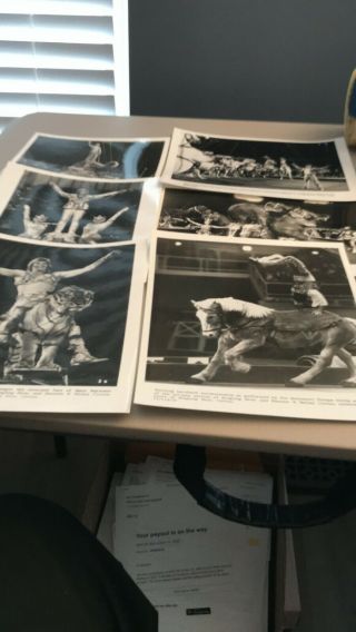 Vintage Circus Press Photos From Ringling Bros.  Circus See List Of Six Group X
