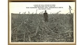Vintage Hail Storm Corn,  Farmers Mutual Insurance,  Des Moines,  Iowa Ia Pc