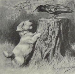 Edwin Megargee Sealyham Terrier 1951 Calendar Dog Art Print Bird Raven