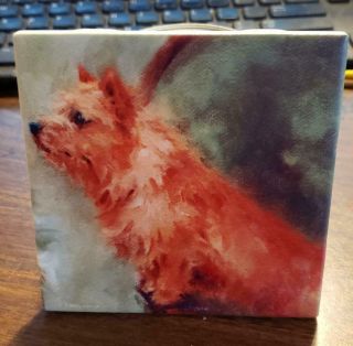 Norwich Terrier 4 " X 4 " Ceramic Art Tile