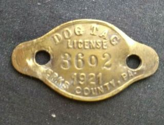 Vintage 1921 Berks County,  Pa Dog Tax License Number 3692 Ex Cond 30