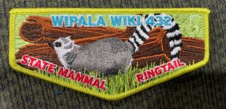 Oa Flap Lodge 432 Wipala Wiki Lime Border State Mammal Ringtail