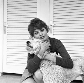 Old Film Star Photo Italian Actress Sophia Loren Hugging Her Dog