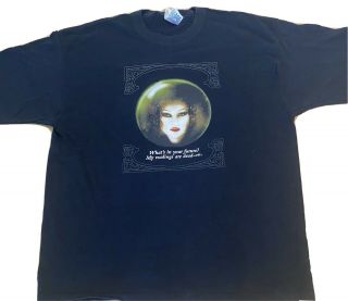 Vintage Disney Haunted Mansion T - Shirt Fortune Teller Xl 2003 Crystal Ball