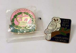 2 Vintage Masonic Order Of The Amaranth Pins 1999 50th Year & Fights Diabetes