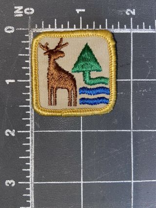 Vintage Boy Scouts Of Canada Canadian Wilderness Award Outdoor Merit Badge Patch