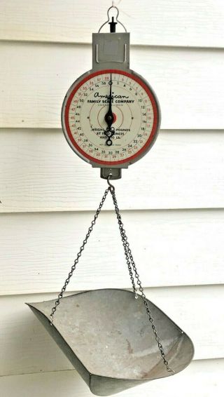 Vintage American Family Scale Co.  Chicago Hanging Basket Scale 60 Lb.