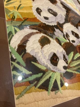 Japanese Three Pandas Needlepoint Canvas Handmade Vintage 26.  25” X 22.  25” 2