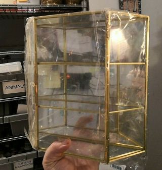 Vintage Brass & Glass Curio Case Display Cabinet Mirrored Back