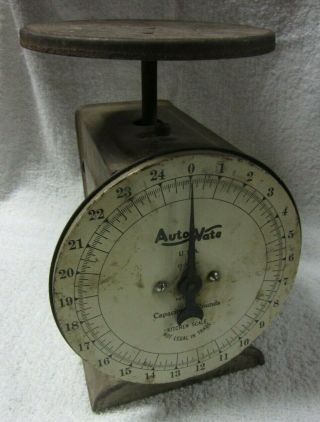 Vintage Auto Wate Kitchen Scale - In