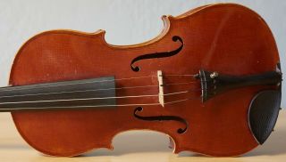 Very Old Labelled Vintage Violin " Evasio Emilio Guerra " Fiddleァイオリン Geige 1403