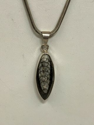 Vintage Charles Albert Sterling Silver & Orthoceras Fossil Pendant W/ 15 " Chain