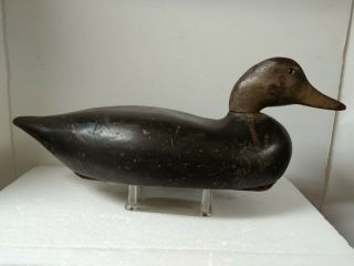 Vintage Black Duck Decoy.  Solid Body.  Glass Eyes.