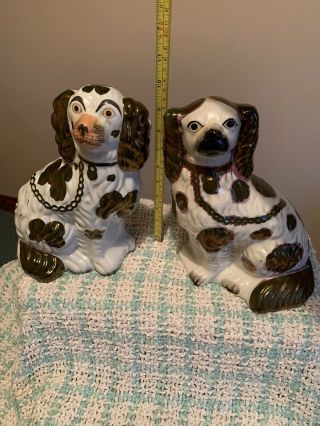 Antique Victorian Staffordshire Spaniel Dogs With Collars Chains And Padlocks. 2