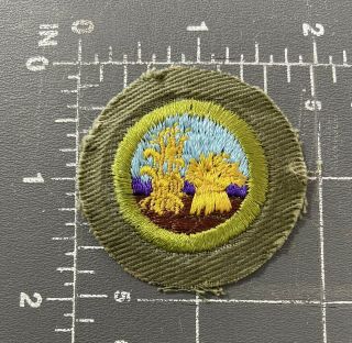 Vintage Boy Scouts Bsa B.  S.  A.  Small Grains And Cereal Foods Merit Badge Patch &