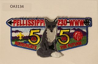 Boy Scout Oa 230 Pellissippi Lodge 55th Anniversary Flap