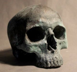 Human Skull Anatomical Medical Death Oddity Theater Doctor Funeral Postmortem
