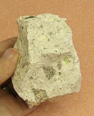 Large Specimen Of Ignimbrite From Lincoln Co. ,  Nevada
