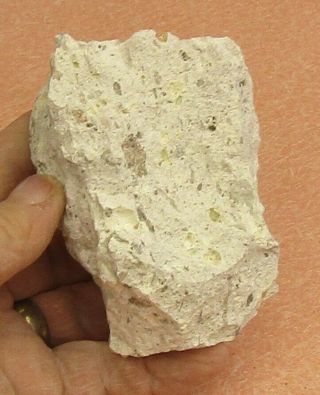 LARGE SPECIMEN OF IGNIMBRITE FROM LINCOLN CO. ,  NEVADA 3