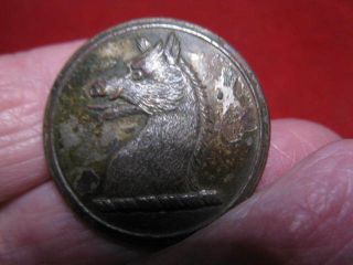 Detecting Finds Large Boar Head Livery Button 25mm