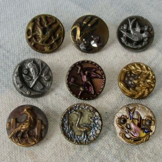 Assortment Of 9 Antique Brass Picture Buttons W Bird Images