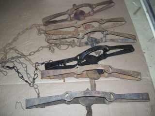 6 - Vintage: Victor 3 &4 Cast Jaw Double Long Spring Traps/trapping