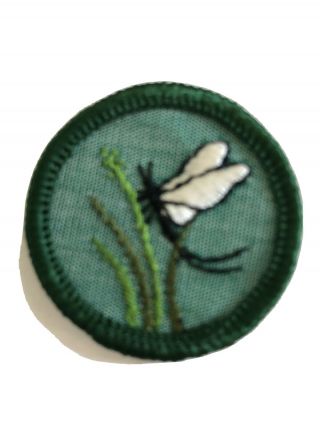 Vtg 1960 - 62 Intermediate Girl Scout Badge Insect Finder Bug Mayfly
