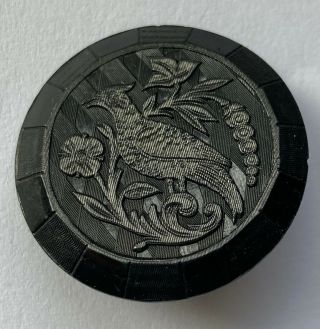 Antique Vintage Carved Black Horn Picture Button Very Detailed With Bird