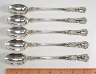 Antique 1899 5pc Gorham Usa Buttercup Pattern Sterling Silver Iced Tea Spoons