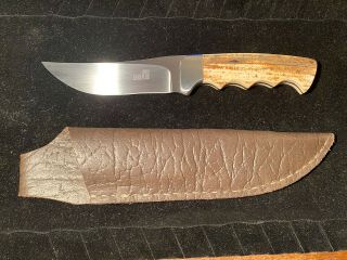 Arno Bernard Fixed Blade Prehistoric Mammoth Handle Knife 9.  5” Pristine W Sheath