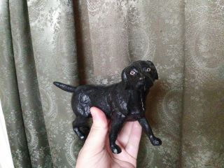 Antique Or Vintage Cast Iron Dog Bank Black Lab Labrador Hand - Painted Folk Art