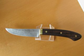 Vintage David Boye Engraved Fixed Blade Knife
