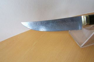 Vintage DAVID BOYE Engraved Fixed Blade Knife 3