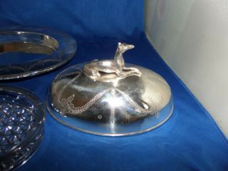 LOVELY VICTORIAN LIDDED BUTTER DISH C.  1880 SILVER PLATE & GLASS 3