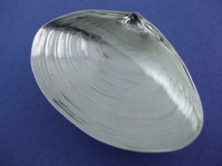 Sterling Wallace 3 1/2 " Footed Clam Shell Dish Realistic Seashell No.  393 $69 Ea