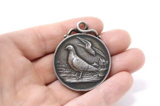 A Rare Large Antique Edwardian C1909 Sterling Silver Pigeon Fob Medal 21g
