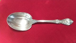 Gorham King Edward Sterling Silver 8 - 3/4 " Salad Serving Spoon