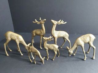 Vintage Brass Spotted Buck Doe Deer Reindeer Figurine Statue 6 Piece Set