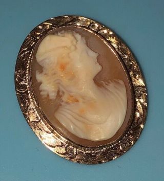 Vintage Estate 14k Yellow Gold Carved Shell Cameo Pin Brooch/pendant 5.  5g