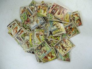 Vintage 1950s Bring Em Back Alive Topps Chewing Gum Trading Card Set X90 African