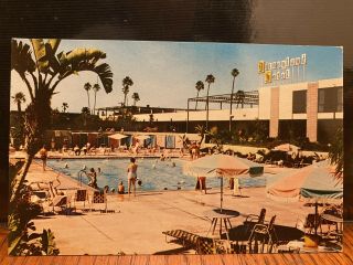 Vintage 1960 Disneyland Hotel Guests At Pool Postcard