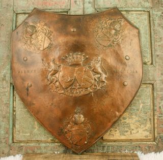 Coat Of Arms Decorated Medieval Knight Lion Shield Armor