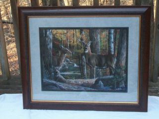 Large Framed Vintage Deer Picture Print Broken Silence Signed Kevin Daniels