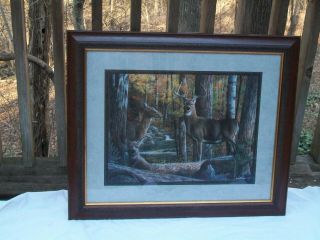 Large Framed Vintage Deer Picture Print Broken Silence Signed Kevin Daniels 3