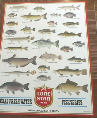 Vintage Lone Star Beer Nos Poster Fresh Water Fish Series Fishing Bass Texas